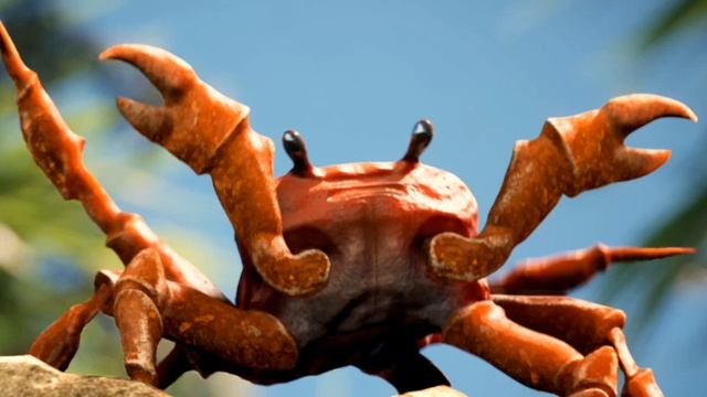 трек крабики