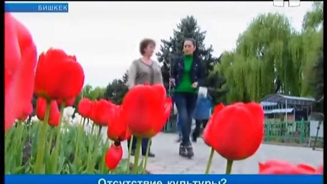 Проявления бескультурья горожан смотреть онлайн