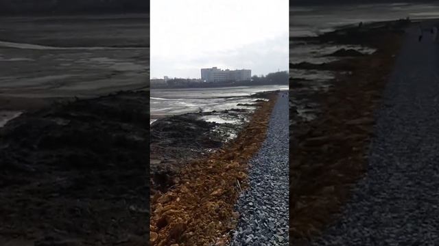 Воды НЕТ, Ростовское водохранилище смотреть онлайн