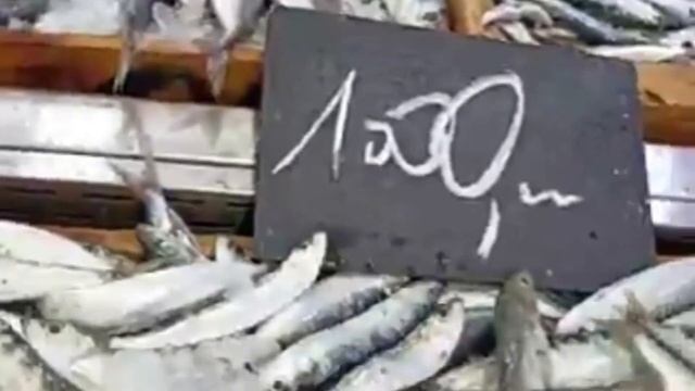 سعر وانواع السمك اليوم في الجزائر، سوق السمك اليوم بالتجزئة смотреть онлайн