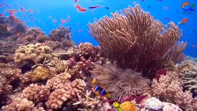 #Relaxingmusic #Deepsleep #Aquarium. Mind blowing Aquarium Sound | Relaxing Music | Deep Sleeping . смотреть онлайн