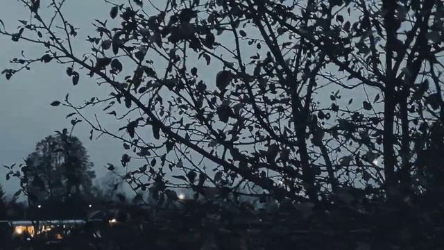 VID 20231115 170622 Как пламень - я, любимая - как лёд...(Эдмунд Спенсер)..Павел Васильев Лахтински смотреть онлайн