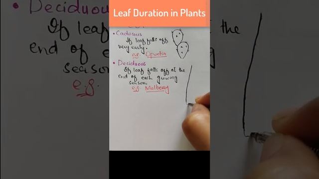 Leaf Duration In Plants|| Leaf Morphology #biology #botany
