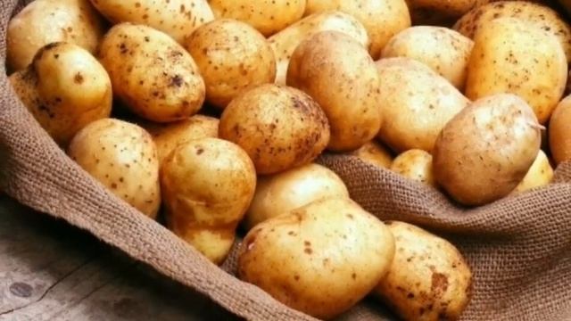 КАРТОПТЫҢ БҰРЫН БІЛМЕГЕН ПАЙДАСЫ!!! смотреть онлайн