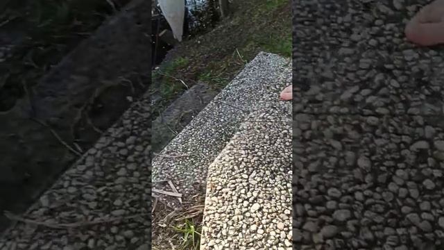 Fußbad mit Froschen aus eigenem Teich. Рафаэль с лягушками смотреть онлайн