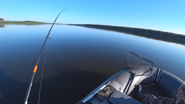 РЫБАЛКА в Тверской области. Отдых с палатками. Красивые места. Рыбалка 2024. Река Молога. Часть 2
