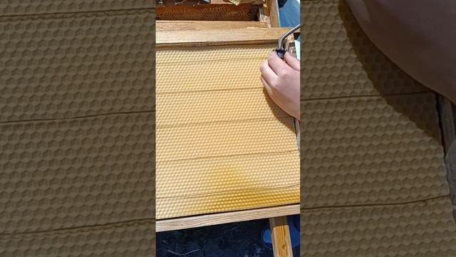 Наващиваем пчелиные рамки #shots смотреть онлайн