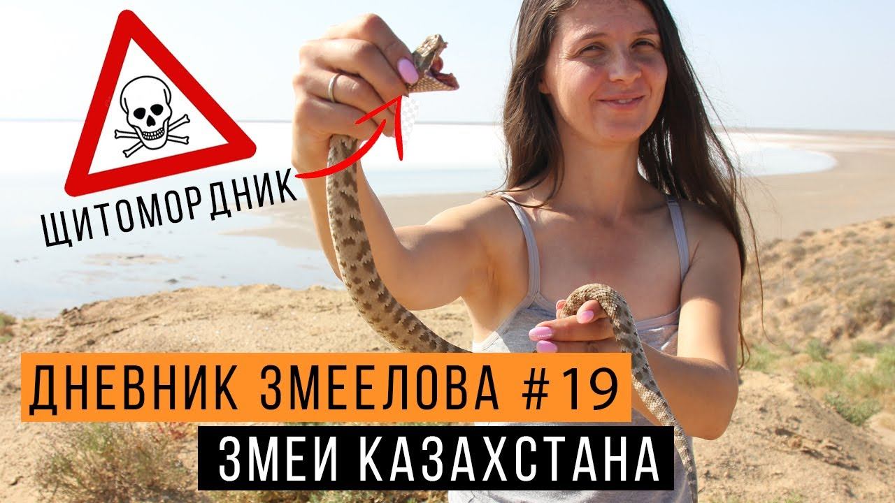 Поймали ядовитого ЩИТОМОРДНИКА в Казахстане! / Дневник Змеелова 19 / Змеелов - ученый смотреть онлайн