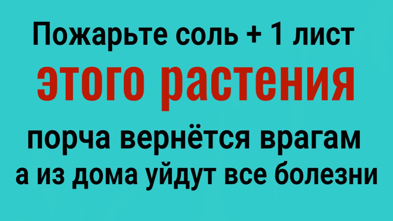 Пожарьте соль и 1 лист этого растения - порча вреётся врагам, а из дома уйдут болезни смотреть онлайн