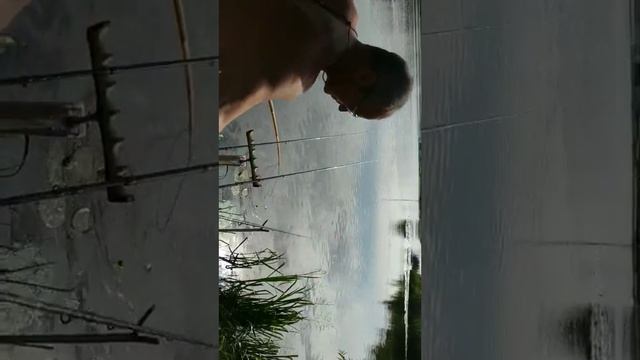 Июньский лещ. смотреть онлайн