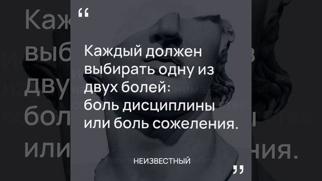 Мудрость Стоиков: 5 Главных Цитат/ #стоицизм смотреть онлайн