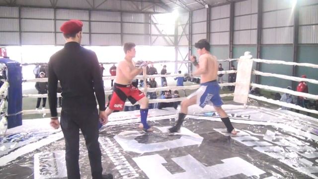 AFC YOUNG LIONS 5 - ASED FIGHTING CHAMPIONSHIP смотреть онлайн