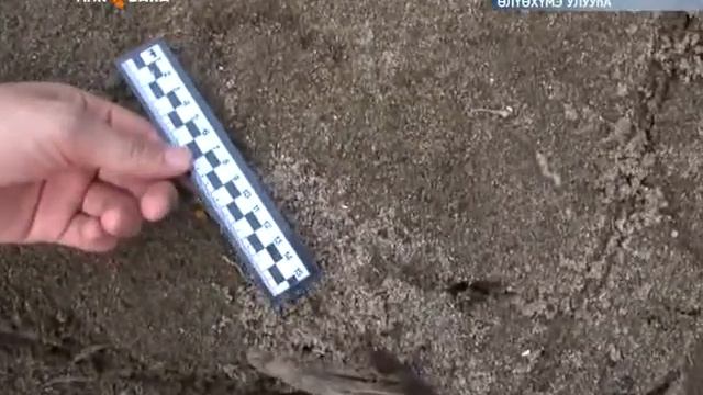 Өлүөхүмэ улууһугар сүппүт Каринаны көрдөөһүн туһунан анал репортаж