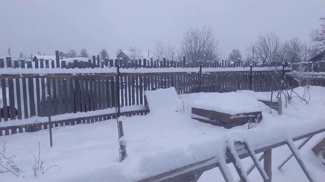 25 04 24 смотреть онлайн