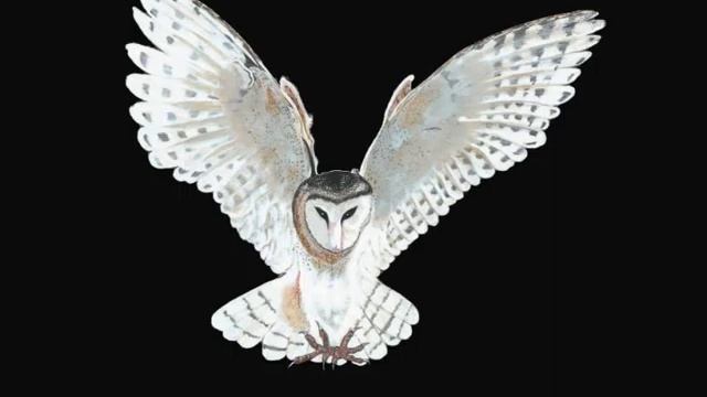 Tracey Warren Art Collection' - 'Indigo Angel' Composed By John Loughman смотреть онлайн
