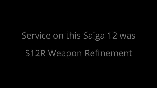 Saiga 12 S12R Service Reliability Demo SL смотреть онлайн