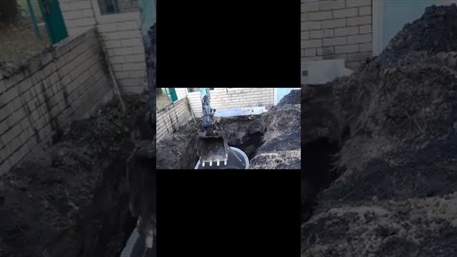 25 сентября 2024 г.