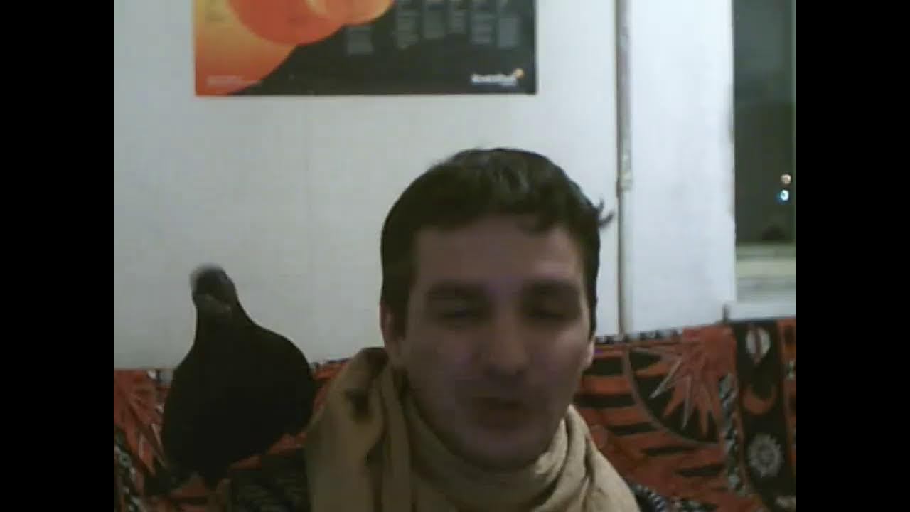 Гадание на рунах и разговоры о магии смотреть онлайн