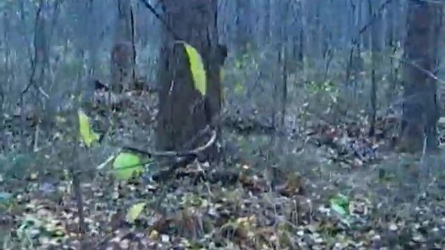 Любительский фильм набросок про партизана и ветерана 2 смотреть онлайн