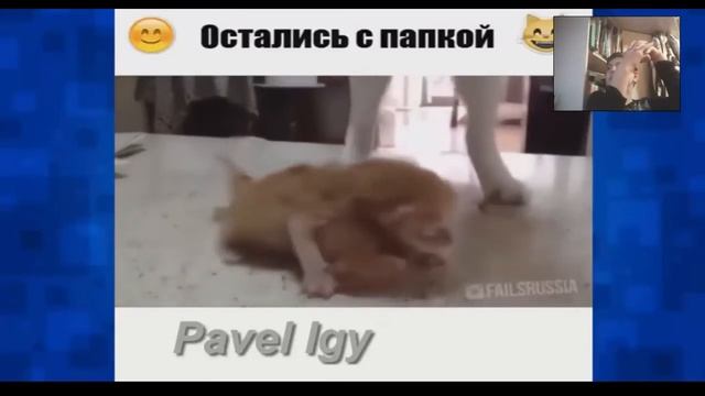 Тест а психику не смейся челендж #1 смотреть онлайн
