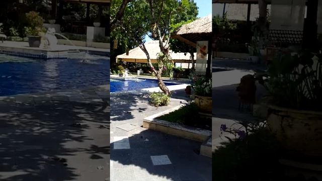 Mercure Resort, Sanur, Bali 🏝🏖🌅