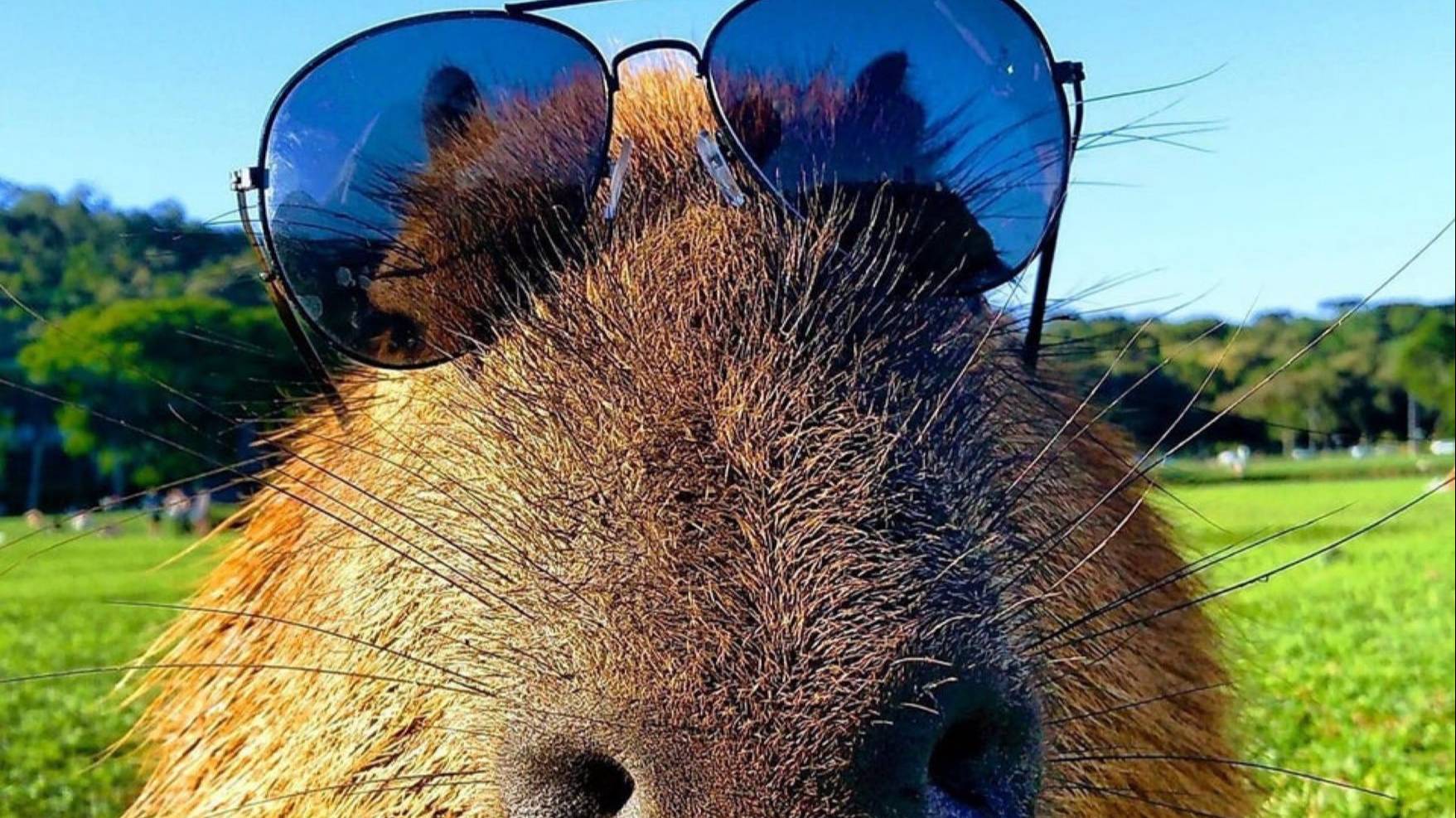 Коллаб с Koresh