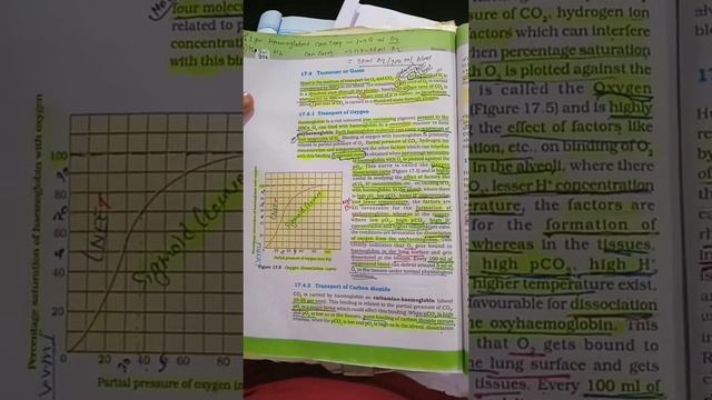 BREATHING AND EXCHANGE OF GASES FOR AIIMS NEET смотреть онлайн