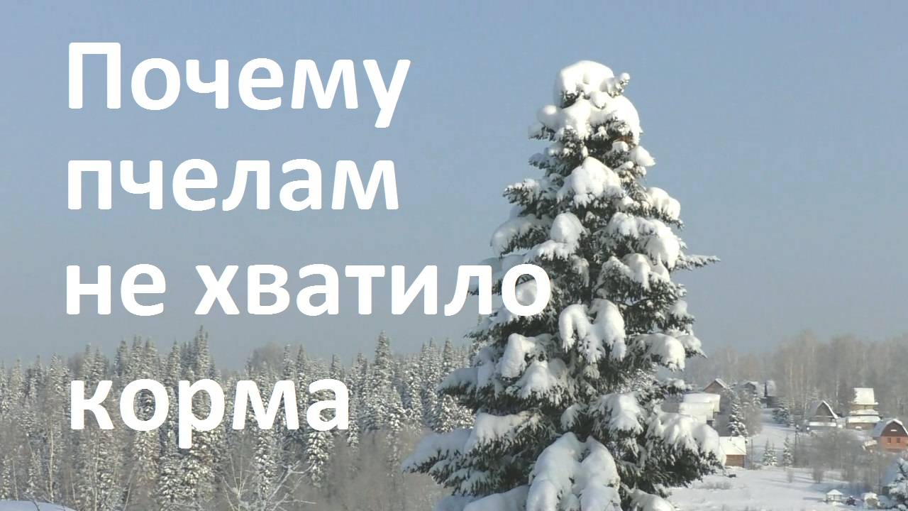 Скрытые причины нехватки корма пчелам зимой смотреть онлайн