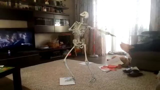 В нашем доме танцует скелет. О,О