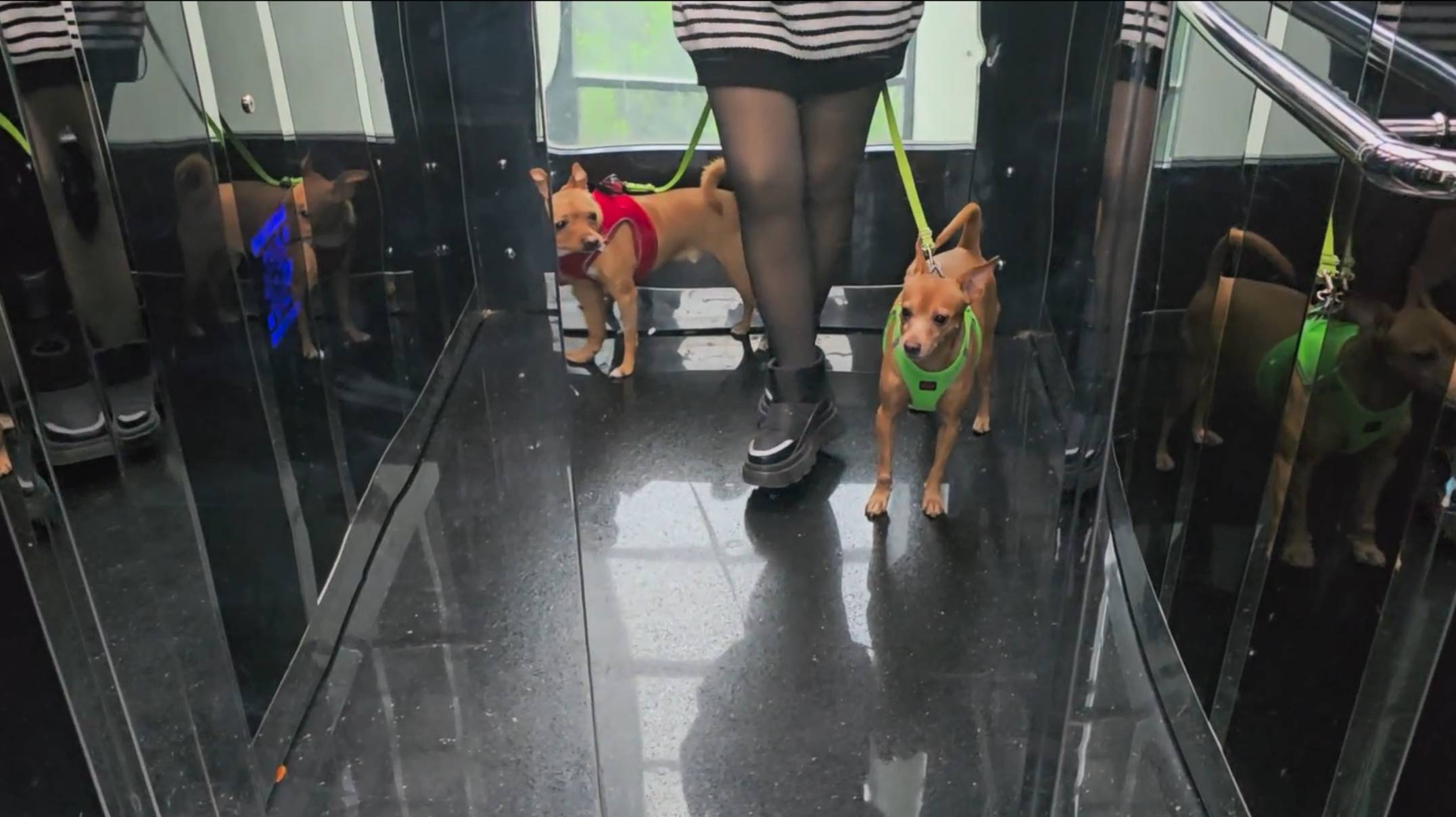 Купила теплые колготки