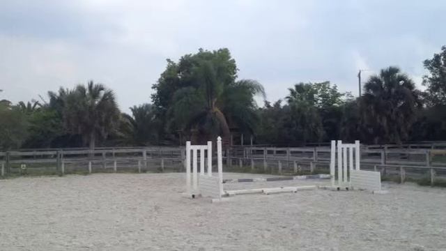 Small pony hunter for sale (part 2) смотреть онлайн