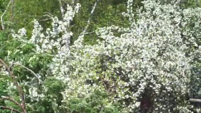 ФОН 14.05.2021 ТЮМЕНЬ смотреть онлайн