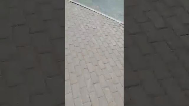 Любимчики Хабирова🙈 смотреть онлайн