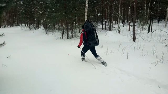 Как мы ходили в лыжный поход смотреть онлайн