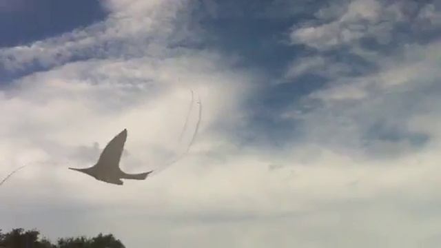 Bird Kite from Kiteman Productions смотреть онлайн