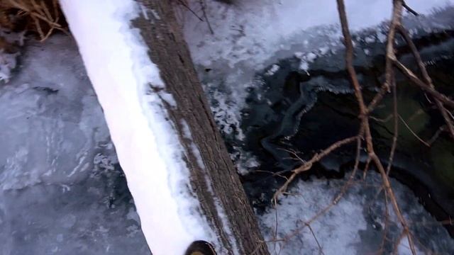 Предсказания о России на 2024 год. смотреть онлайн