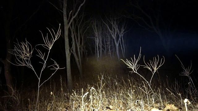 5 ответов Рун о Грядущем царе смотреть онлайн