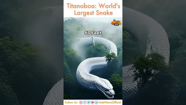 दुनिया का सबसे बड़ा सांप Titanoboa ! INDE News смотреть онлайн