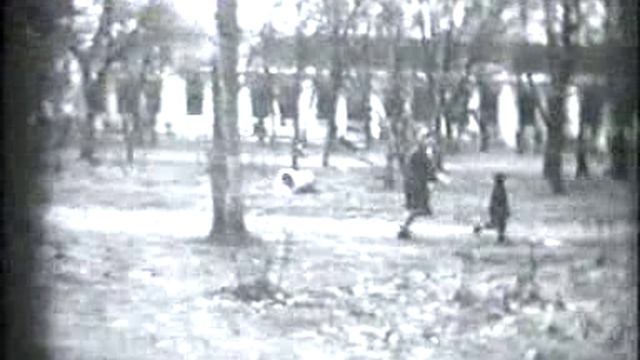 dasbinick смотреть онлайн