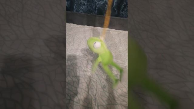 Лягушонок танцует под не знаю что смотреть онлайн