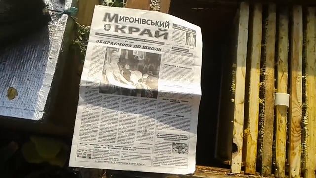 Полоски від кліща зі щавлевою кислотою та рігані еко смотреть онлайн