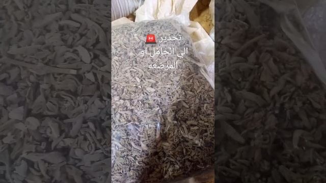 تحذير الي الحامل أو المرضعه عشبة المرمية смотреть онлайн