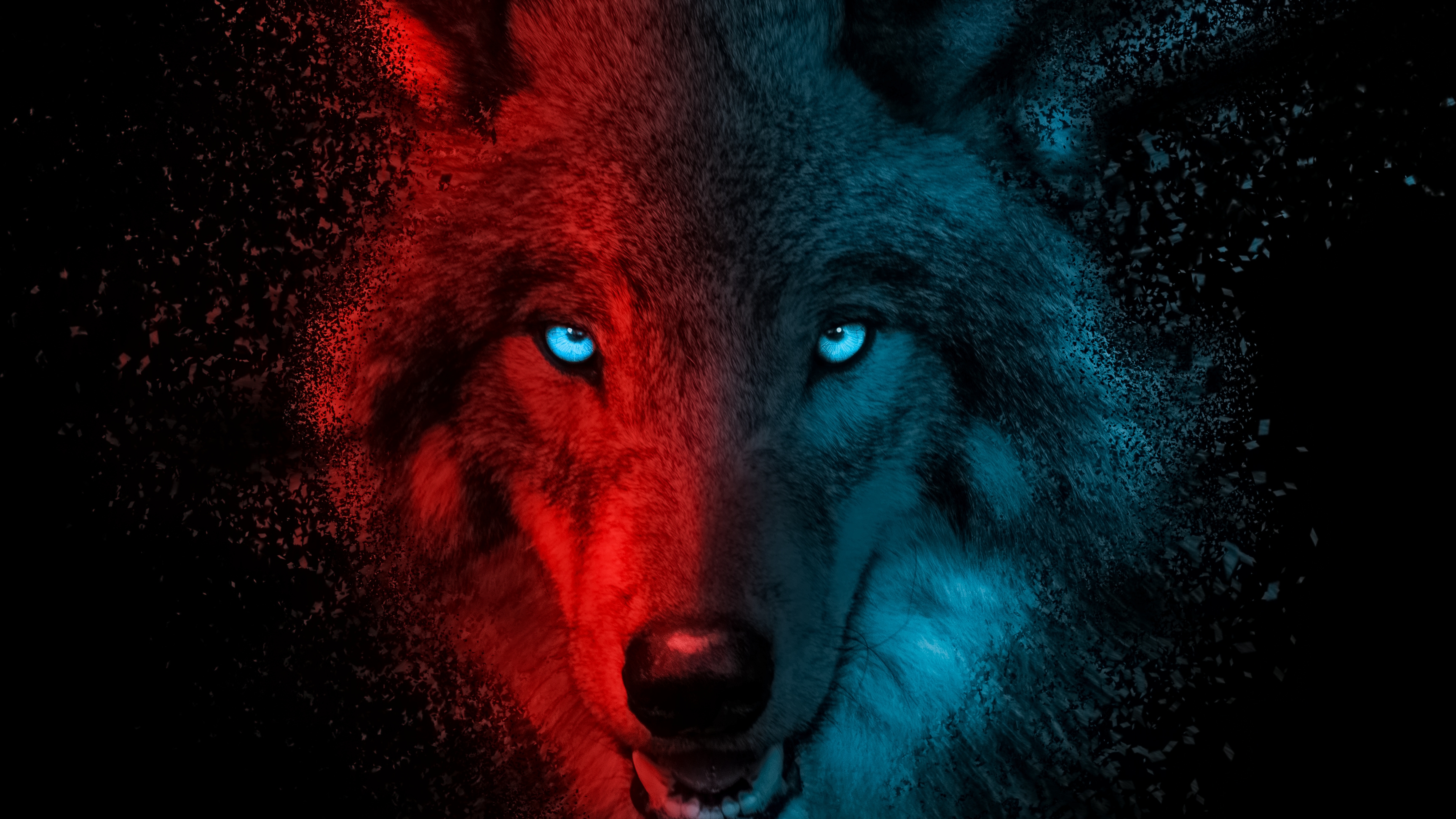 Обзор приложения 7FonВолки🐺💜🦊❤️