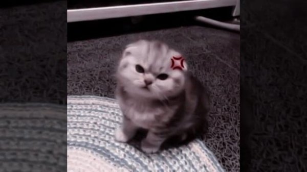 Инструментал aespa supernova