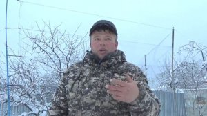 Ловля певчих птиц  ЛОВИМ ЗЕЛЕНУШЕК И СНЕГИРЕЙ