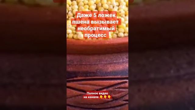 Что творит пшено ? Даже 5 ложек... смотреть онлайн