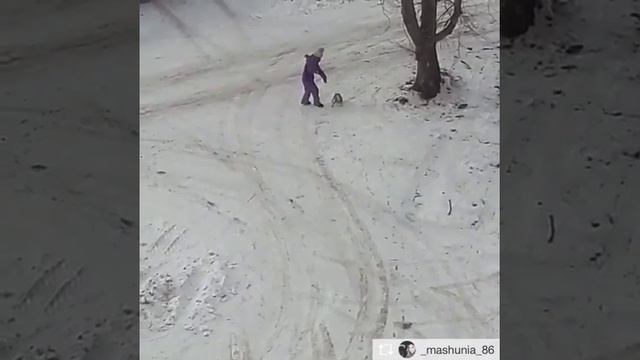 Школьница пинает собаку смотреть онлайн