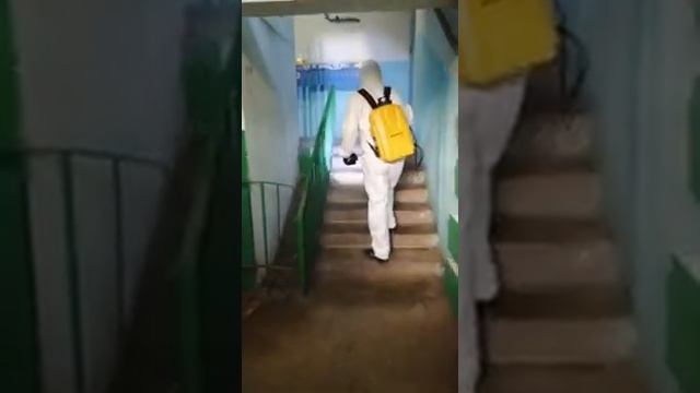 Дезинфекция подъезда по заказу Управляющей компании