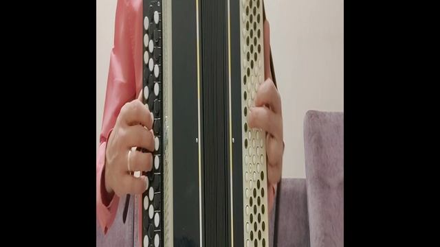 АЙДАГЕЗ ДУСЛАР ЙЫРЛАЕК БЕРГӘ - обучающий видеоразбор на БАЯНЕ смотреть онлайн