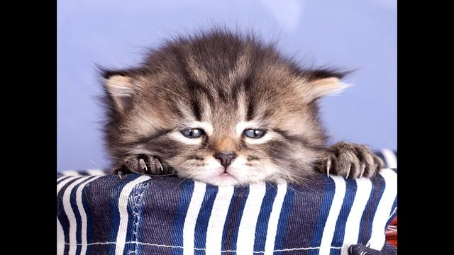 Ксюня Булочка ЖЕСТКО про свою болезнь смотреть онлайн